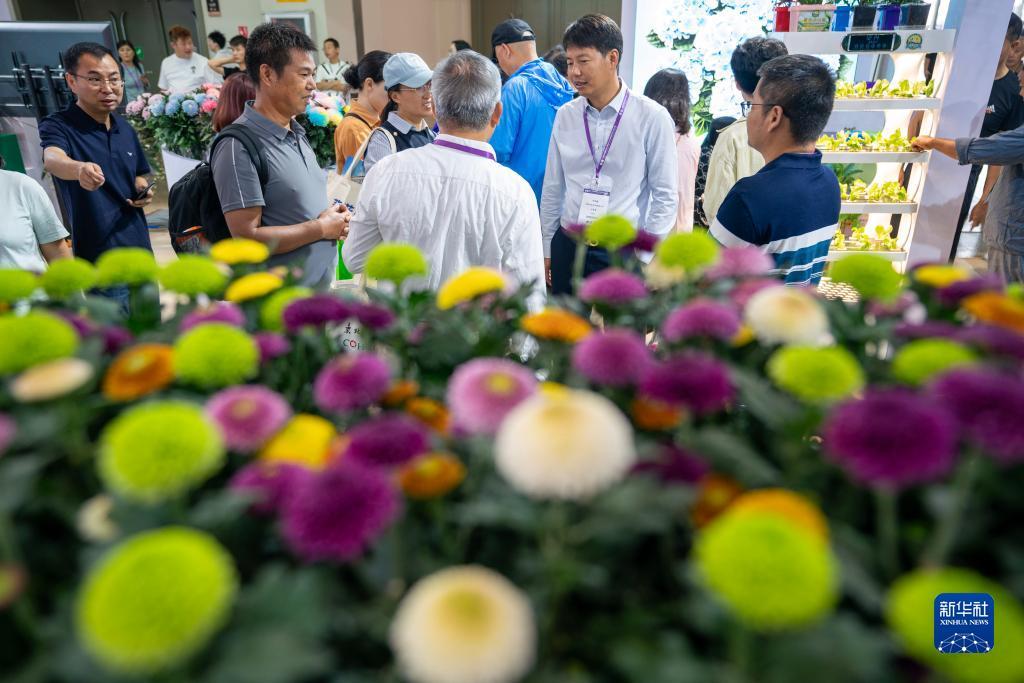 财富仿会员登录中心